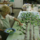 Birch Tree Mural in Fused Glass